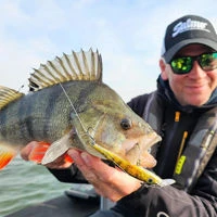 Salmo Rattlin Sting Suspending 9cm